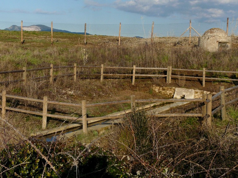 Ripristino di un fontanile a Baratti (Piombino - LI)